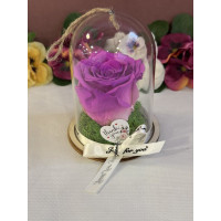 Естествена вечна роза в PVC купол Bic 05