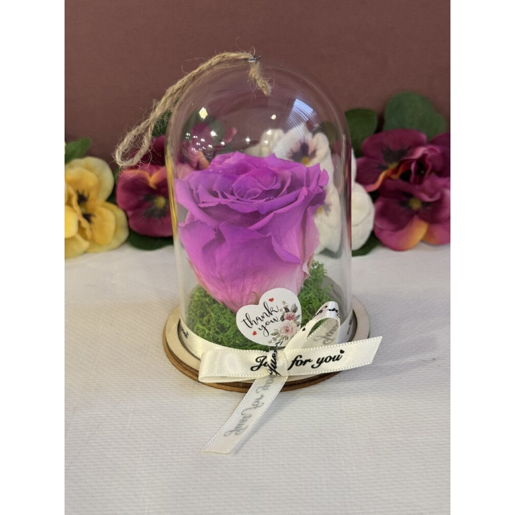 Естествена вечна роза в PVC купол Bic 05