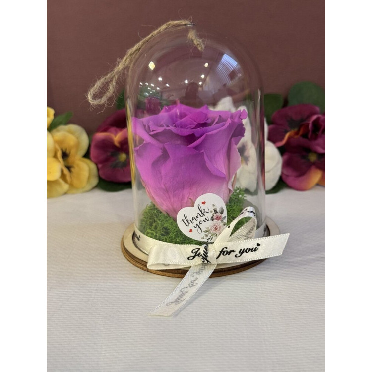 Естествена вечна роза в PVC купол Bic 05