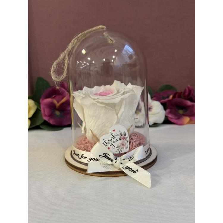 Естествена вечна роза в PVC купол Bic 14