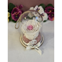 Естествена вечна роза в PVC купол Bic 14