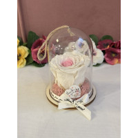 Естествена вечна роза в PVC купол Bic 14