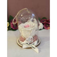 Естествена вечна роза в PVC купол Bic 14