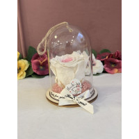 Естествена вечна роза в PVC купол Bic 14