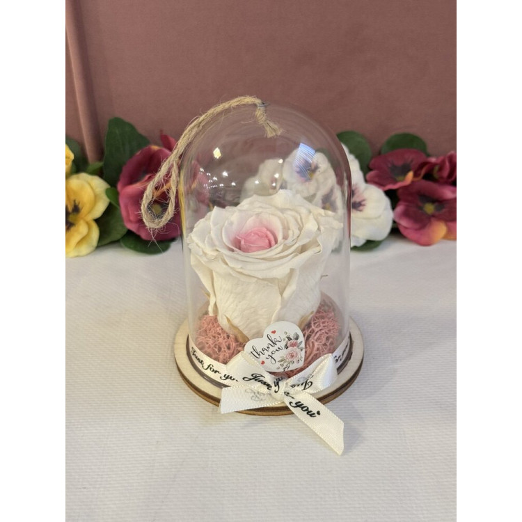 Естествена вечна роза в PVC купол Bic 14