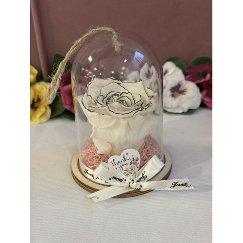 Естествена вечна роза в PVC купол Bicz