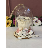 Естествена вечна роза в PVC купол Bicz