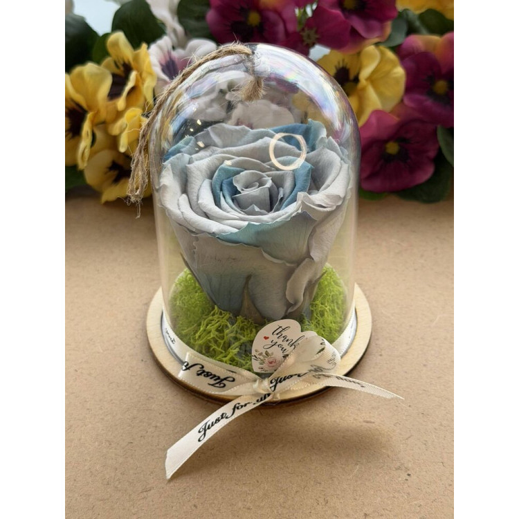 Естествена вечна роза в PVC купол Blu 05