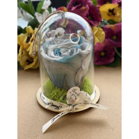 Естествена вечна роза в PVC купол Blu 05