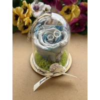 Естествена вечна роза в PVC купол Blu 05