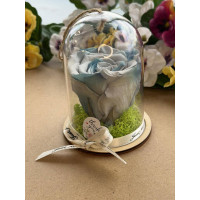 Естествена вечна роза в PVC купол Blu 05