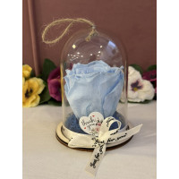 Естествена вечна роза в PVC купол Blu 89