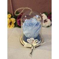 Естествена вечна роза в PVC купол Blu 89