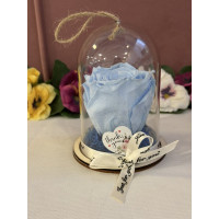 Естествена вечна роза в PVC купол Blu 89