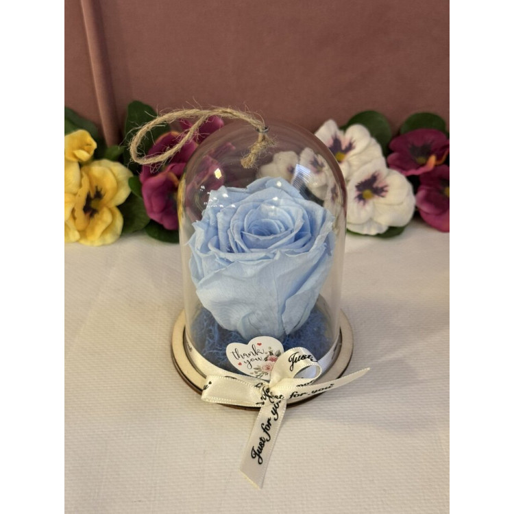 Естествена вечна роза в PVC купол Blu 89