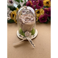 Естествена вечна роза в PVC купол Cho 89