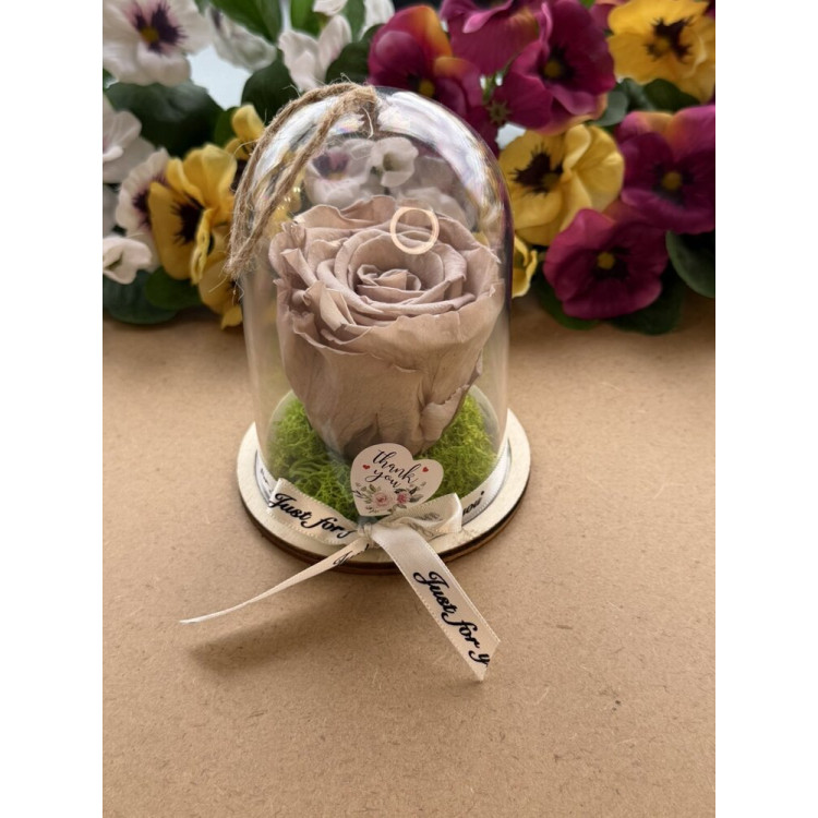 Естествена вечна роза в PVC купол Cho 89