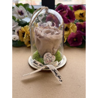 Естествена вечна роза в PVC купол Cho 89