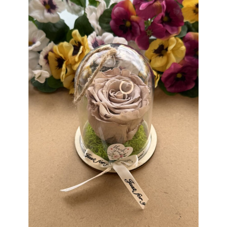 Естествена вечна роза в PVC купол Cho 89