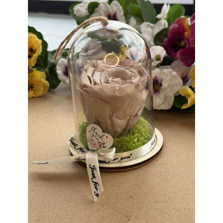 Естествена вечна роза в PVC купол Cho 89