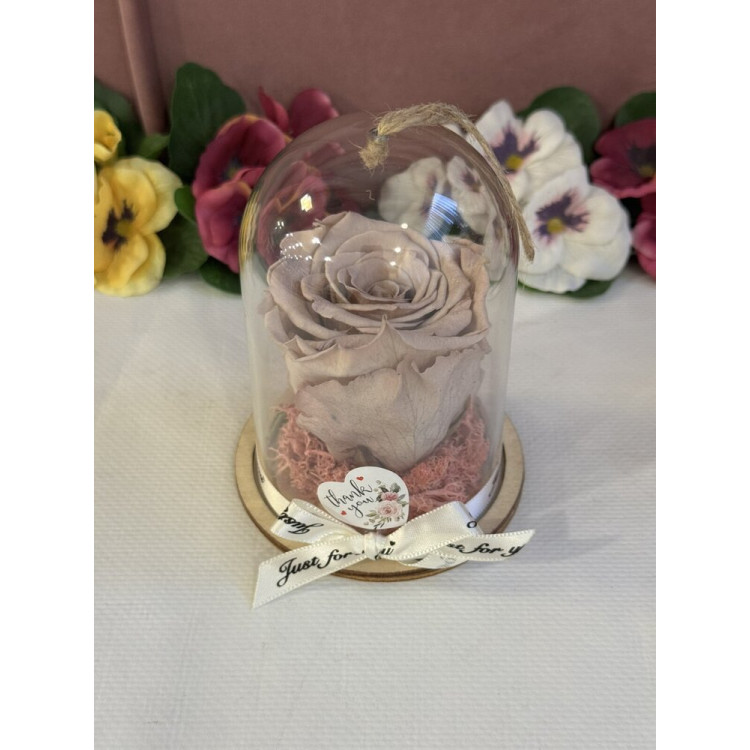 Естествена вечна роза в PVC купол Cho 89 2