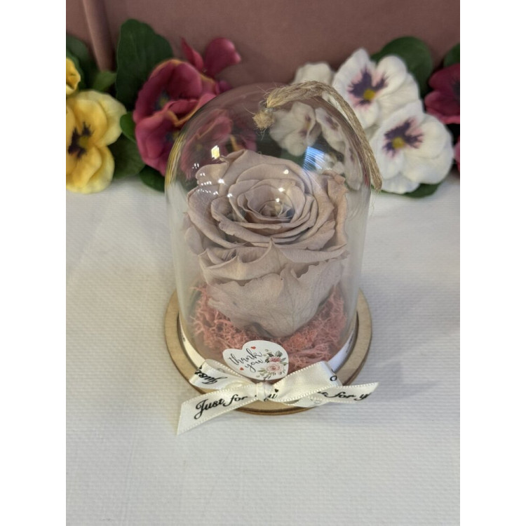 Естествена вечна роза в PVC купол Cho 89 2