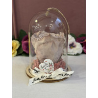 Естествена вечна роза в PVC купол Cho 89 2