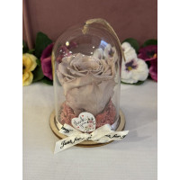 Естествена вечна роза в PVC купол Cho 89 2