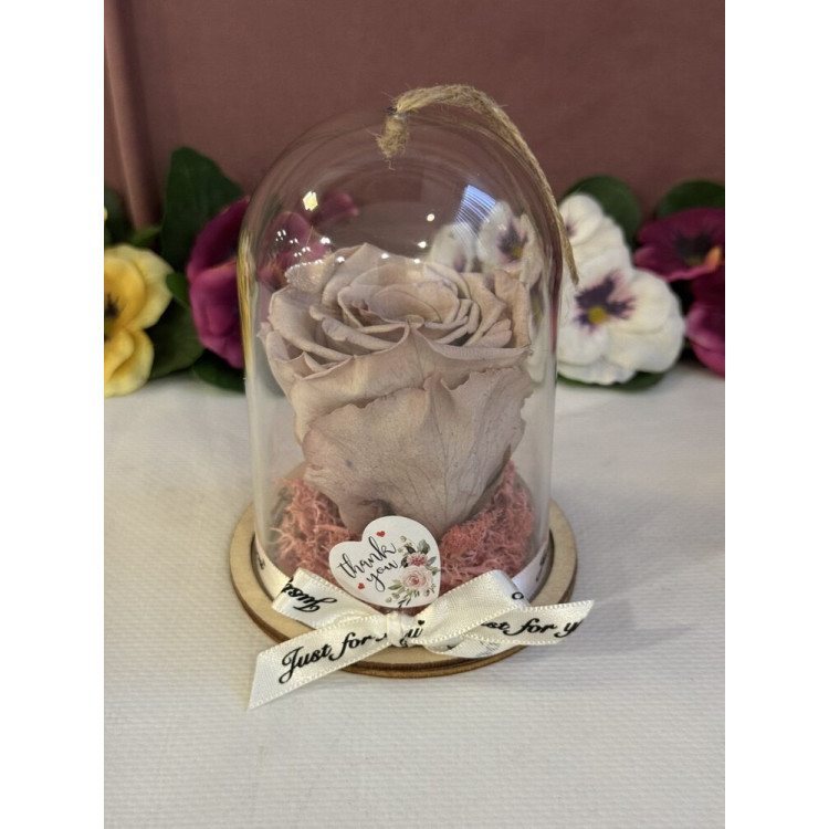 Естествена вечна роза в PVC купол Cho 89 2