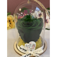 Естествена вечна роза в PVC купол Gre 02