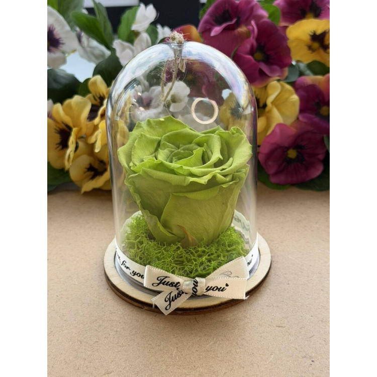 Естествена вечна роза в PVC купол Gre 07