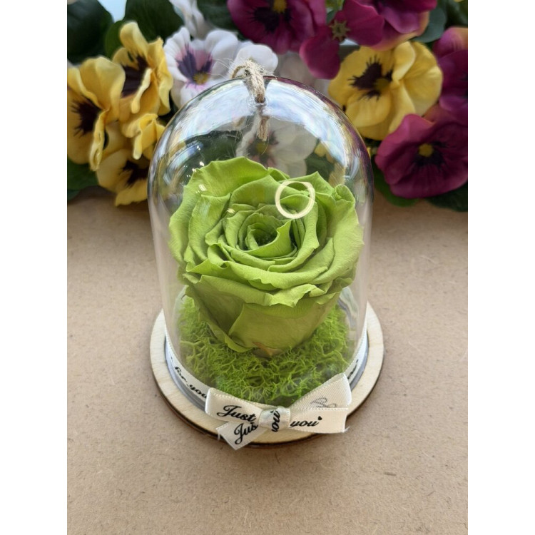 Естествена вечна роза в PVC купол Gre 07