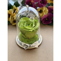 Естествена вечна роза в PVC купол Gre 07