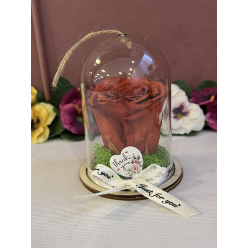 Естествена вечна роза в PVC купол Grp 01