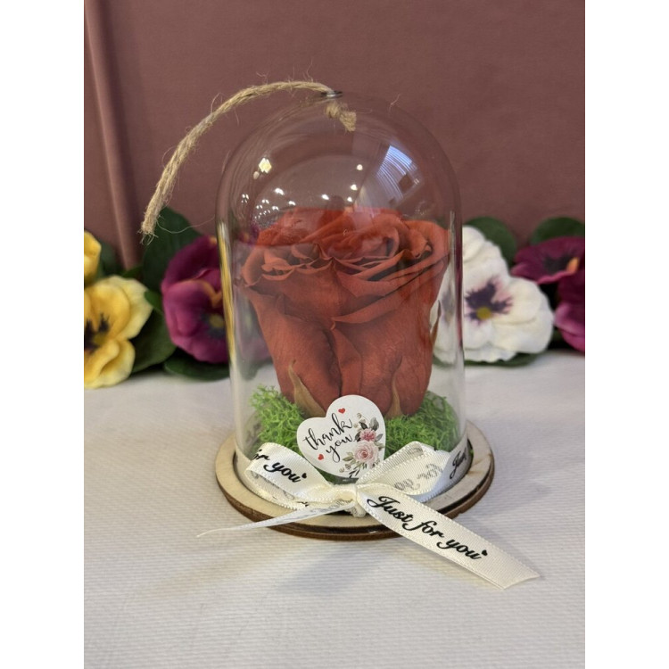 Естествена вечна роза в PVC купол Grp 01