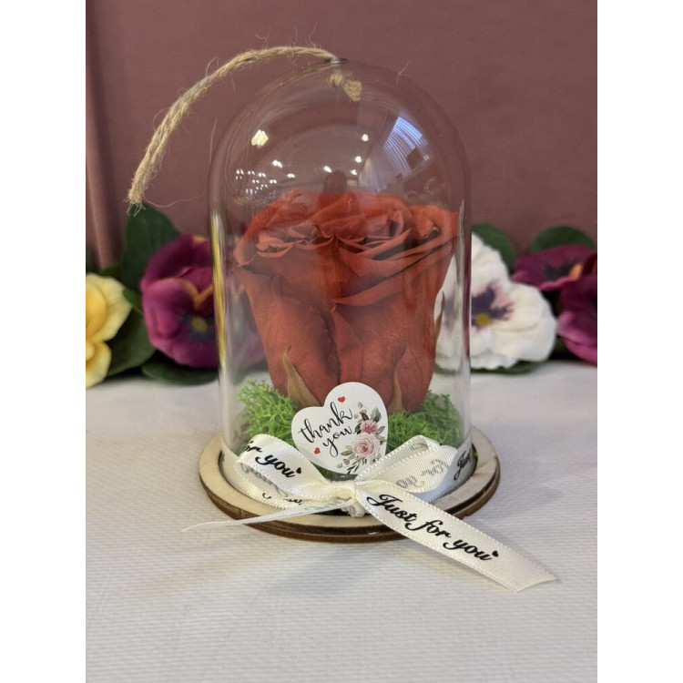 Естествена вечна роза в PVC купол Grp 01