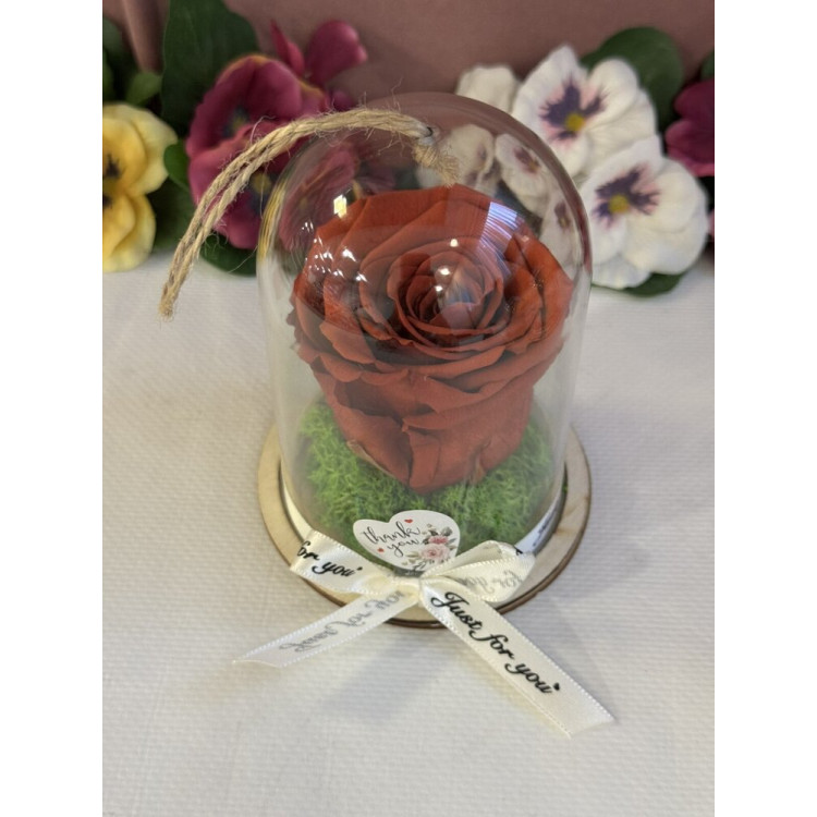 Естествена вечна роза в PVC купол Grp 01
