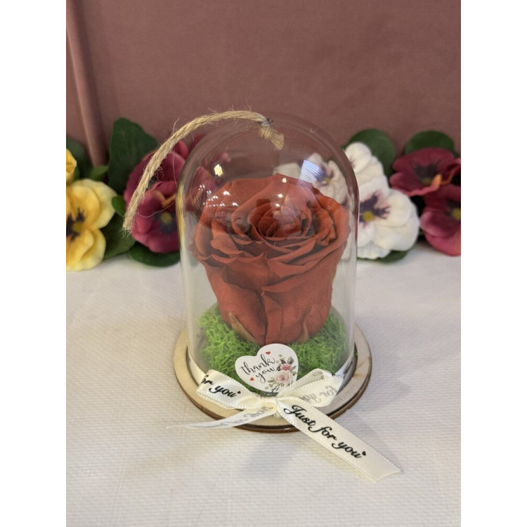 Естествена вечна роза в PVC купол Grp 01