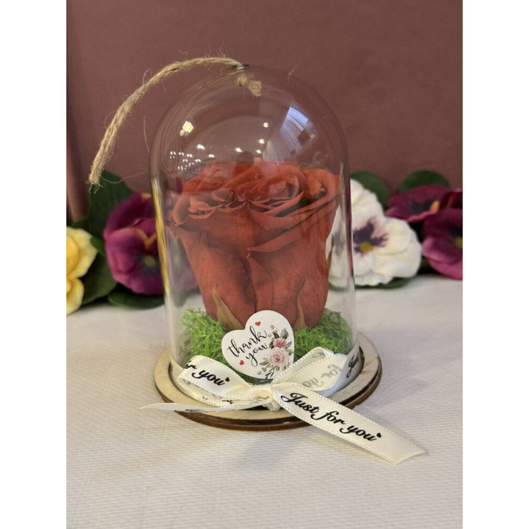 Естествена вечна роза в PVC купол Grp 01