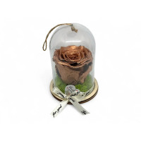 Естествена вечна роза в PVC купол Metallic Copper Whi 04