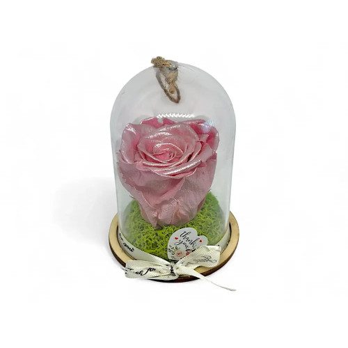 Естествена вечна роза в PVC купол Metallic Old Pink Whi 04