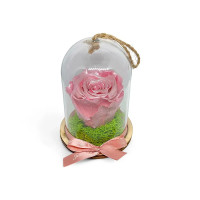 Естествена вечна роза в PVC купол Metallic Old Pink Whi 04