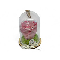 Естествена вечна роза в PVC купол Metallic Old Pink Whi 04