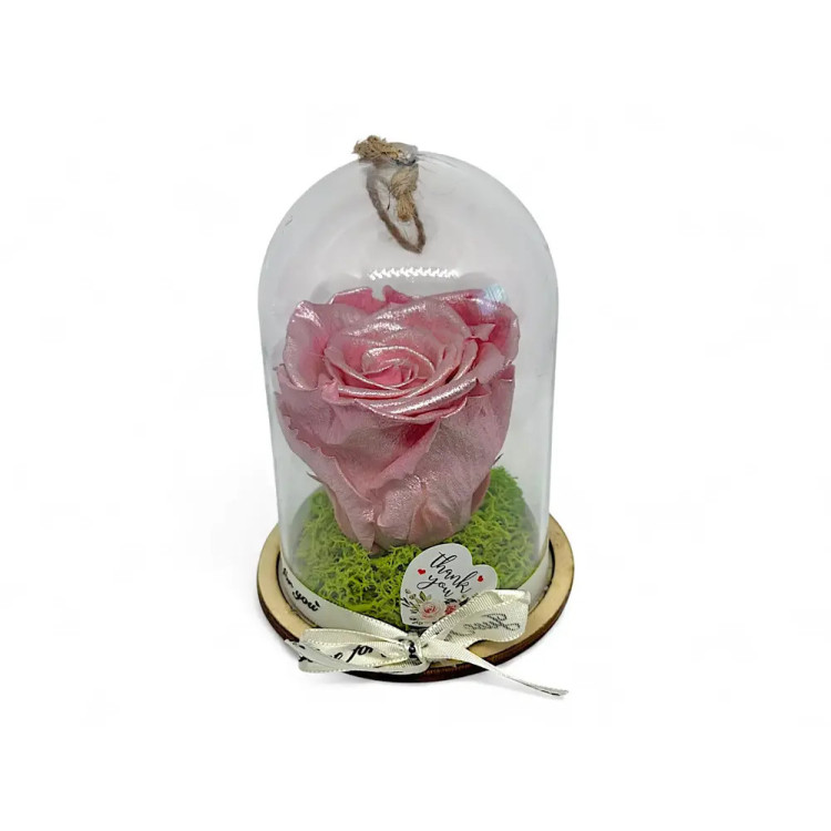 Естествена вечна роза в PVC купол Metallic Old Pink Whi 04
