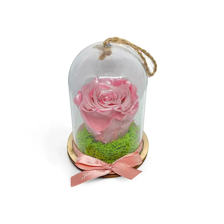 Естествена вечна роза в PVC купол Metallic Old Pink Whi 04