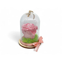 Естествена вечна роза в PVC купол Metallic Old Pink Whi 04