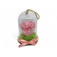 Естествена вечна роза в PVC купол Metallic Old Pink Whi 04