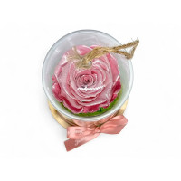 Естествена вечна роза в PVC купол Metallic Old Pink Whi 04