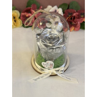 Естествена вечна роза в PVC купол Metallic Silver