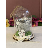 Естествена вечна роза в PVC купол Metallic Silver